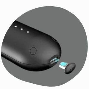 pulses from organic farm